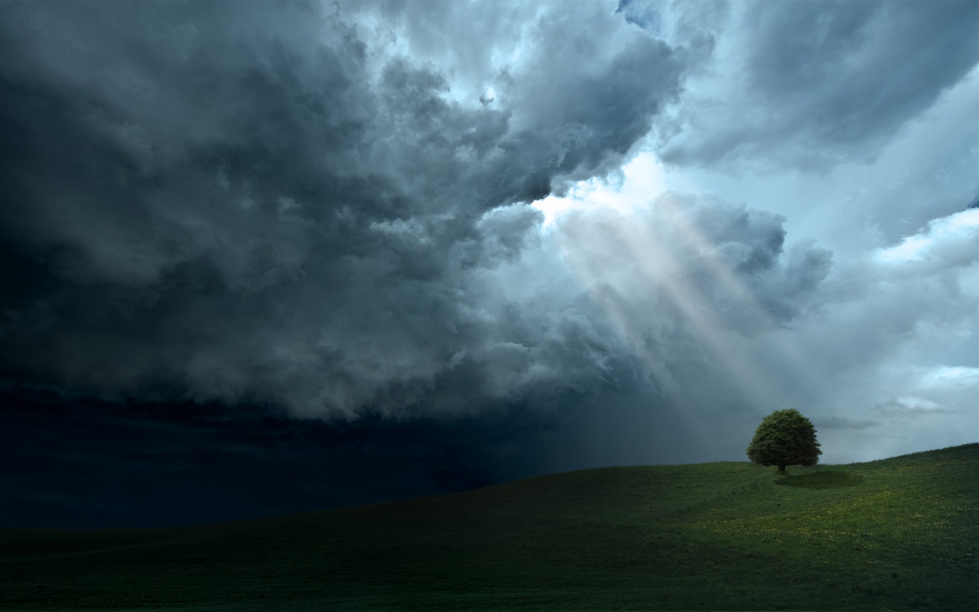 nuvole bellezza colline paesaggi albero alberi cielo luce raggi