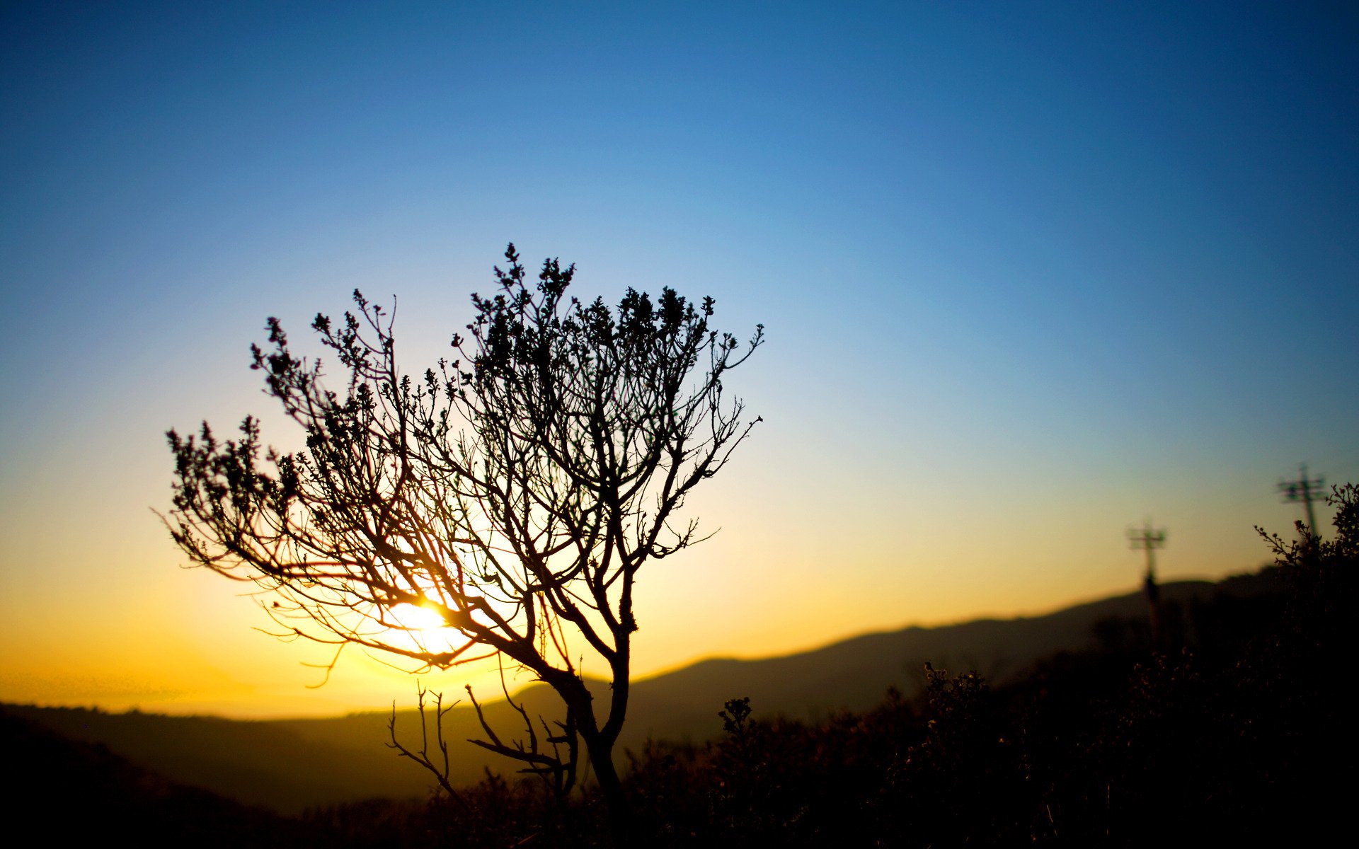 puesta del sol tarde sol luz arbustos naturaleza paisajes cielo puesta del sol puesta del sol naturaleza