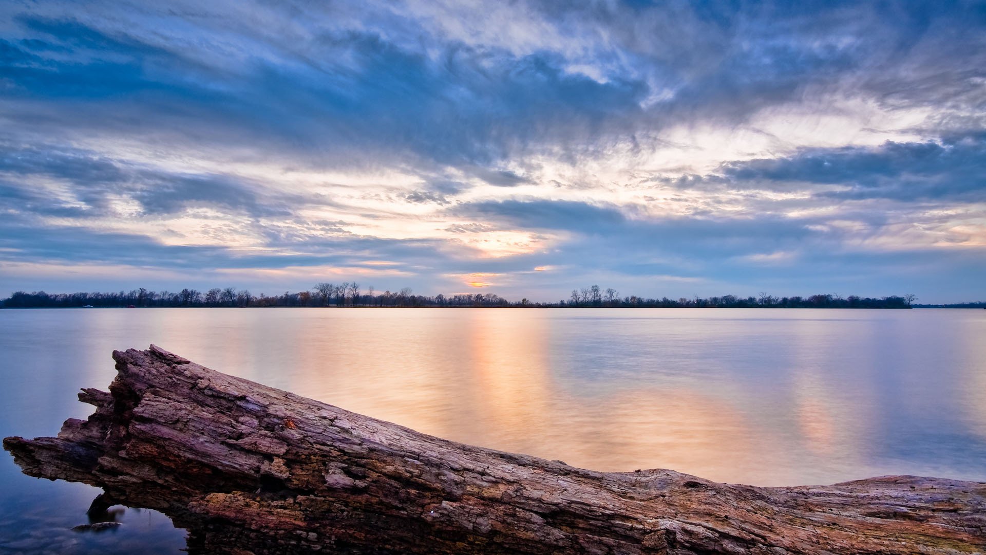 paesaggio tronco acqua lago fiume cielo foto