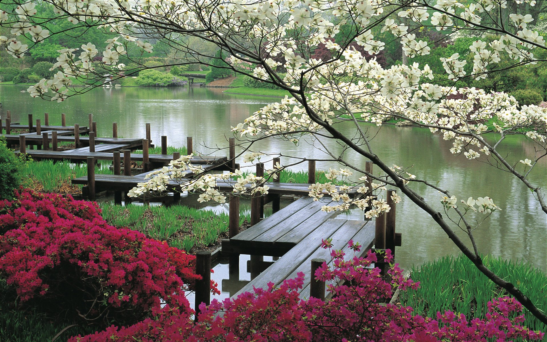 fiori passerelle giappone acqua giardino