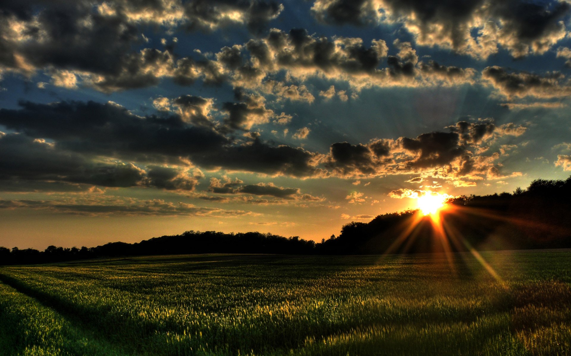 paysage herbe champ coucher de soleil nuages champs nature arbres forêt vent soleil