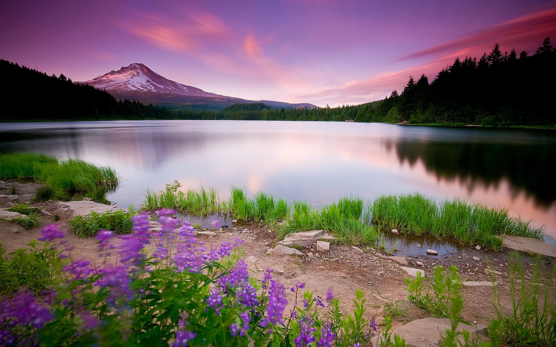 árboles naturaleza paisaje lago flores caminos cielo nubes puesta de sol montañas