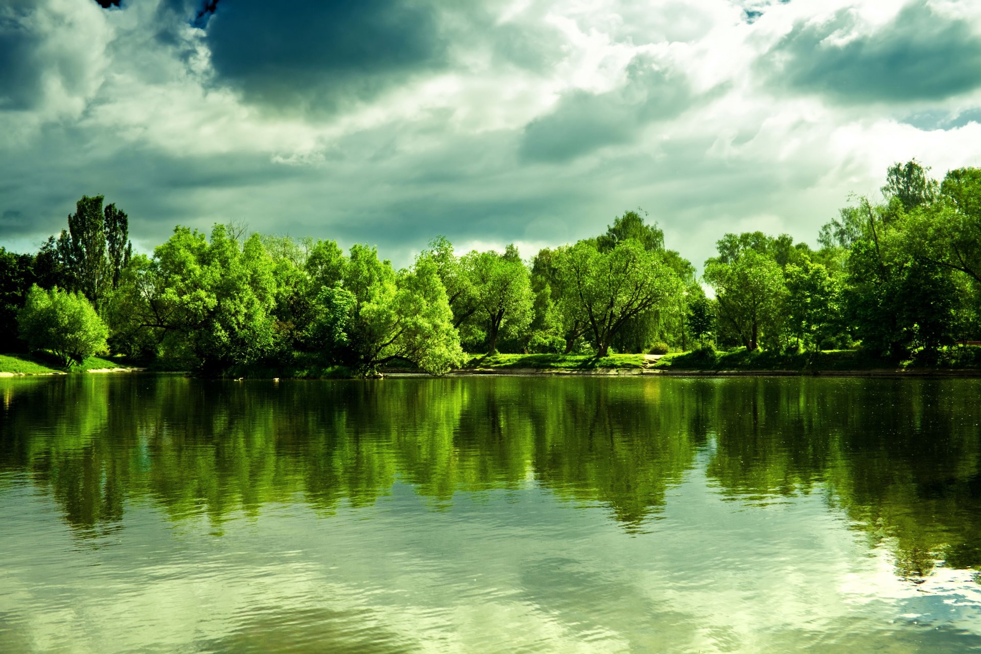 bella immagine lago lago riflessione riva alberi fitti nuvole