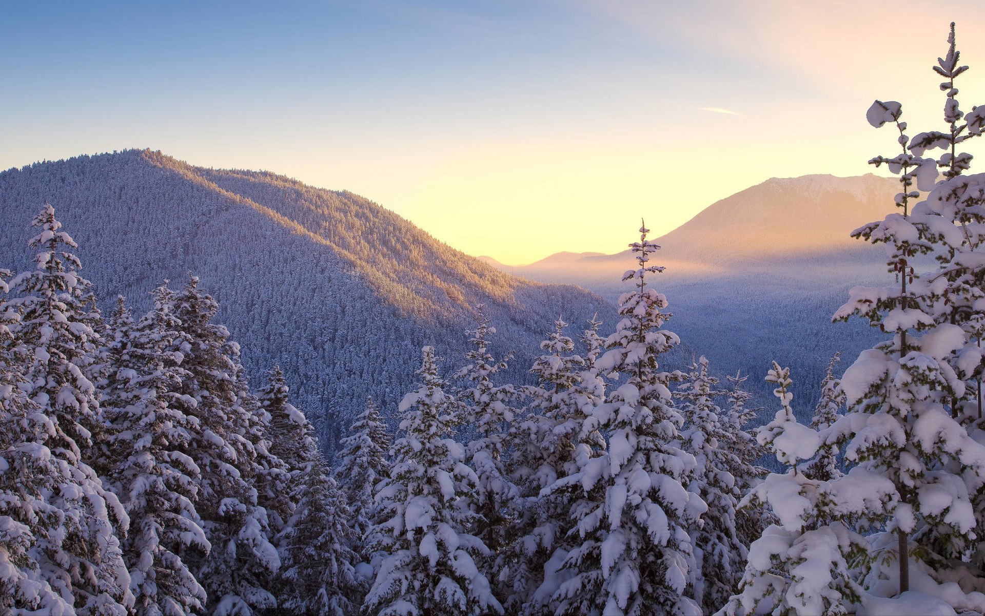 paesaggi natura montagne inverno neve alberi cielo