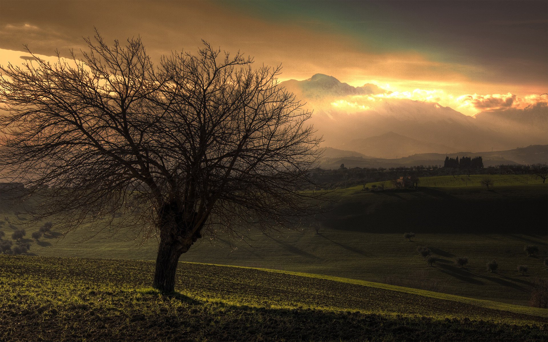 baumansicht bäume natur landschaften fotos