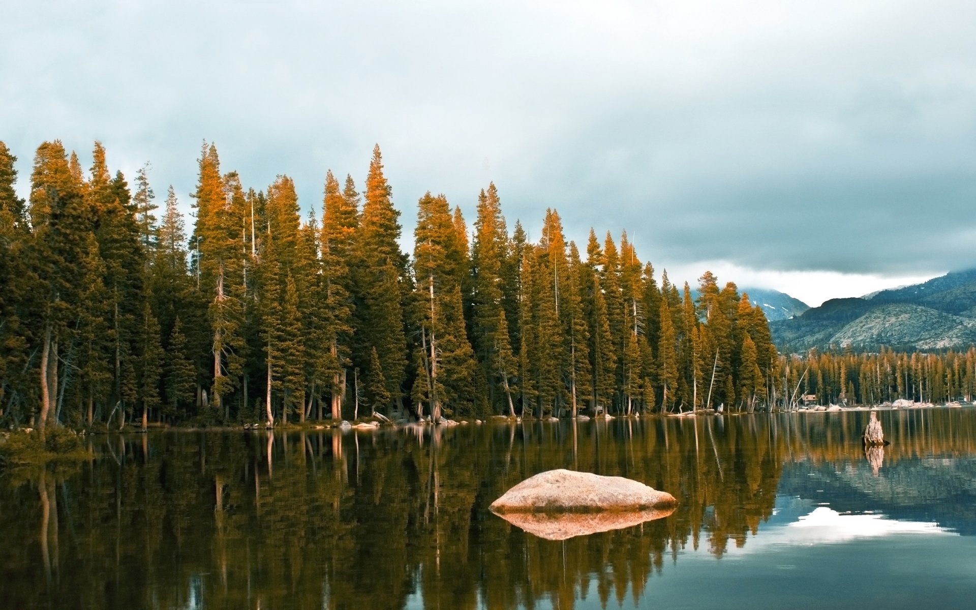 paysages forêts arbres pierres eau rivière lac beauté