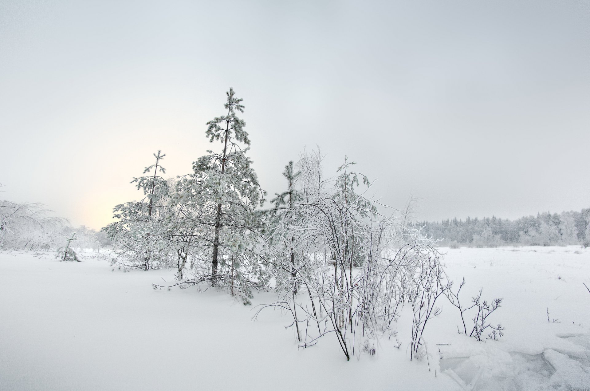 winter snow landscape