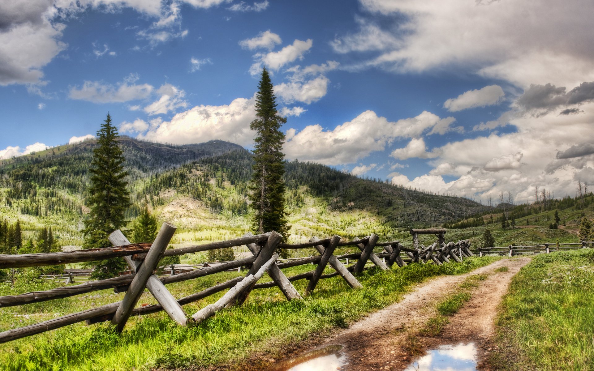 paesaggi recinzioni strada strade pozzanghere pozzanghere acqua montagne foreste di yellowstone