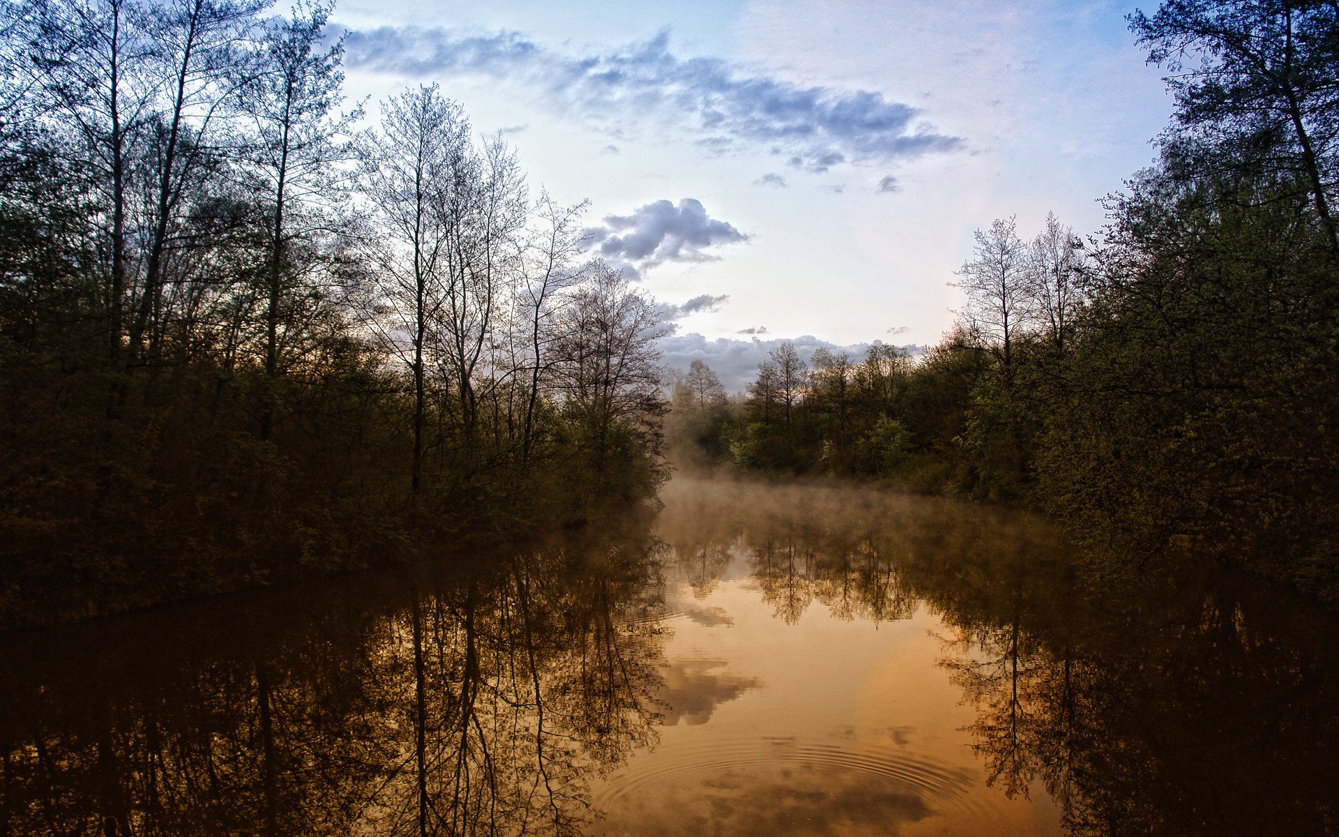 wieczór natura widok piękno rzeka lasy drzewa mgła