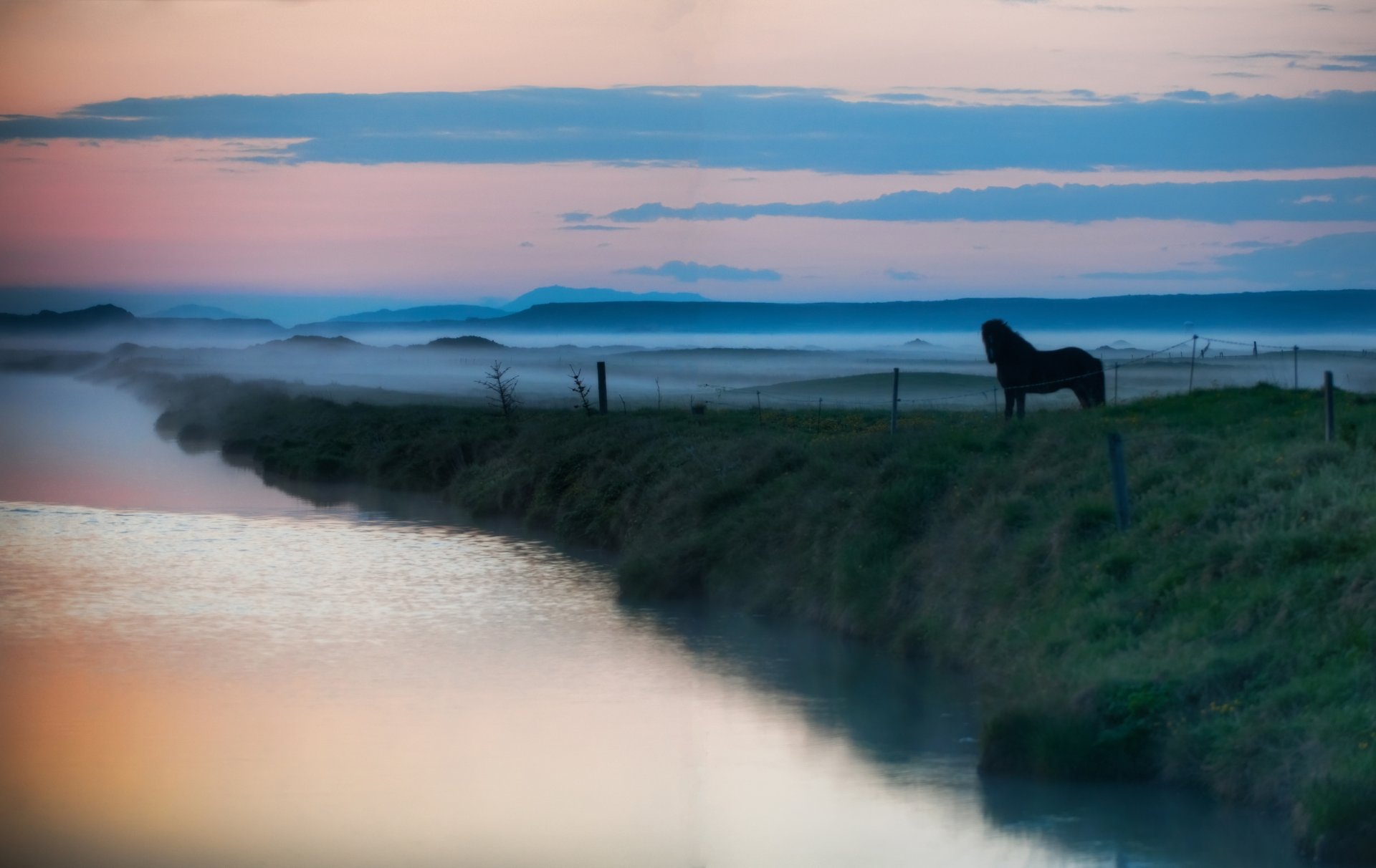 paisaje animales río lago agua caballos caballo niebla neblina