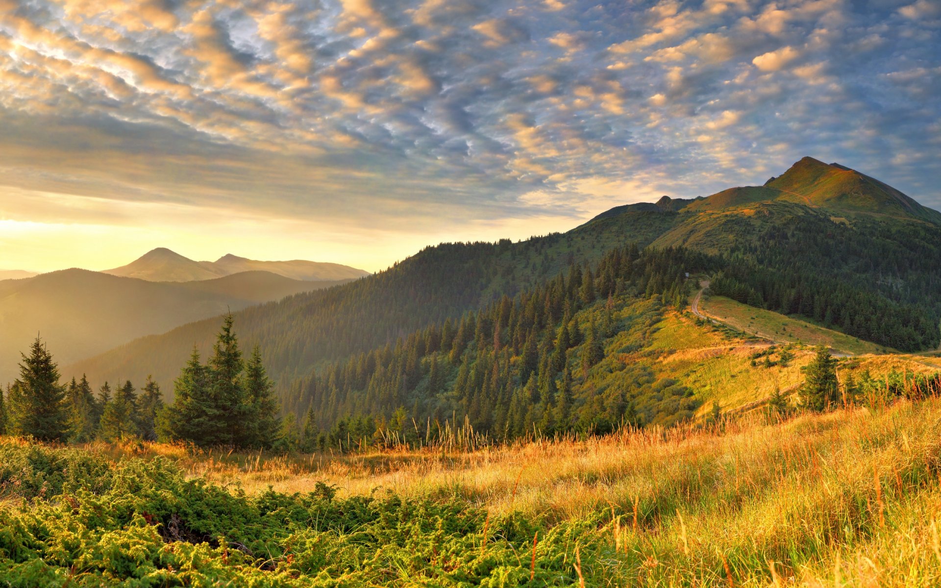 paysage nature herbe collines lumière matin nuage nuages