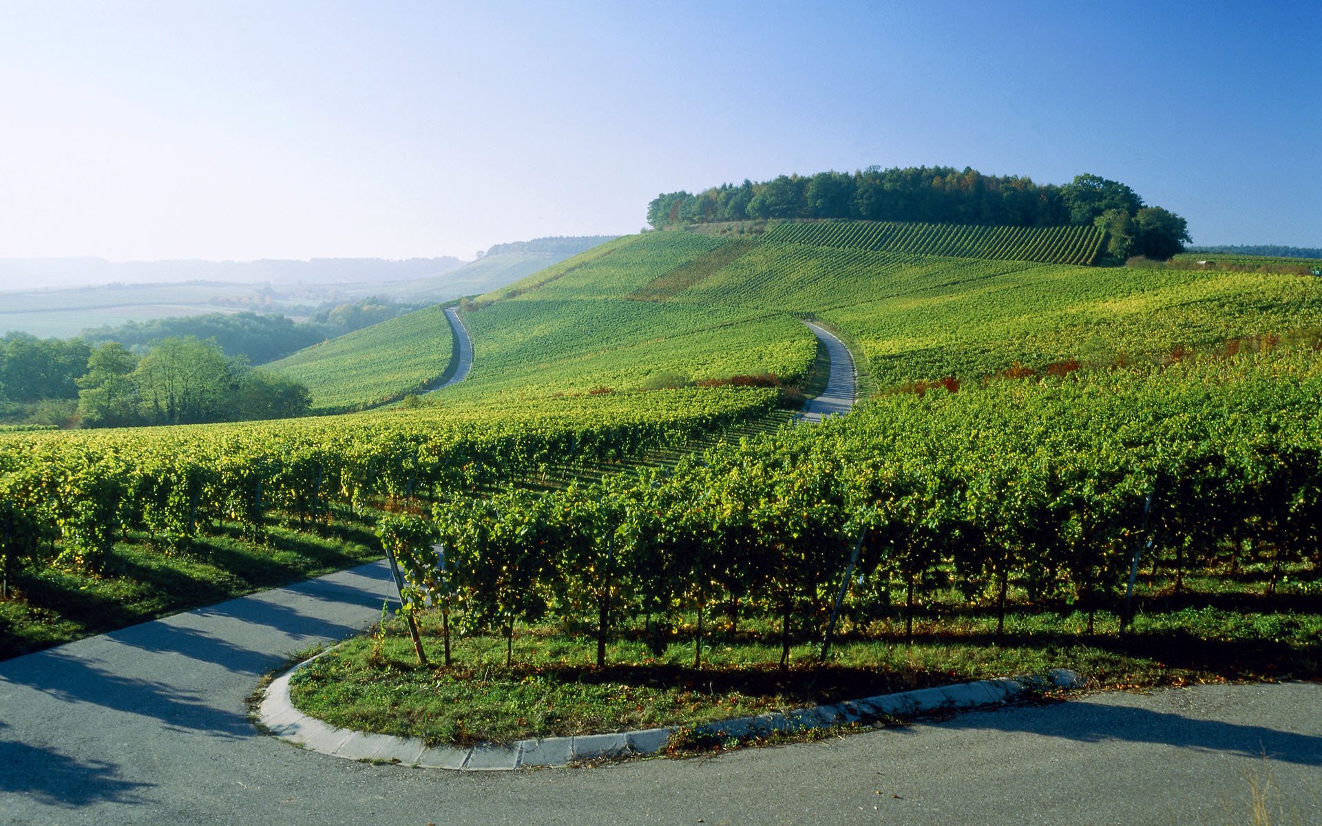 alemania viñedos carretera