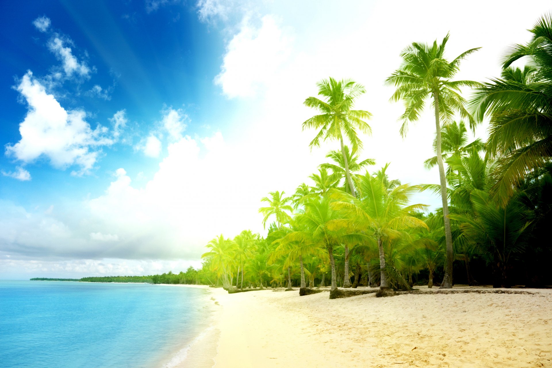 landscapes beach sand palm trees water sea ocean summer shore waves clouds sky sun