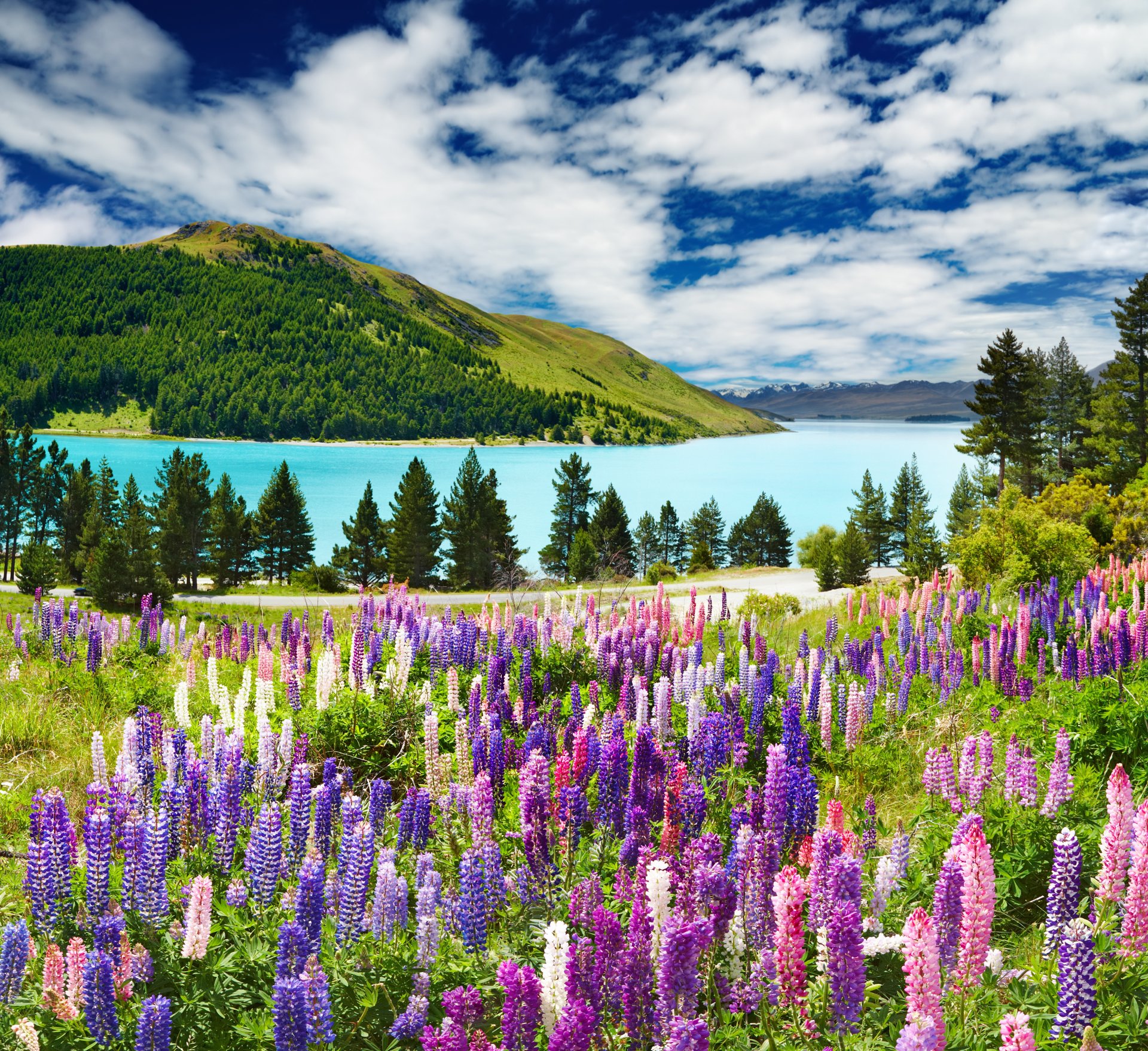 lavender mountains blue sky lake clouds forest trees landscape