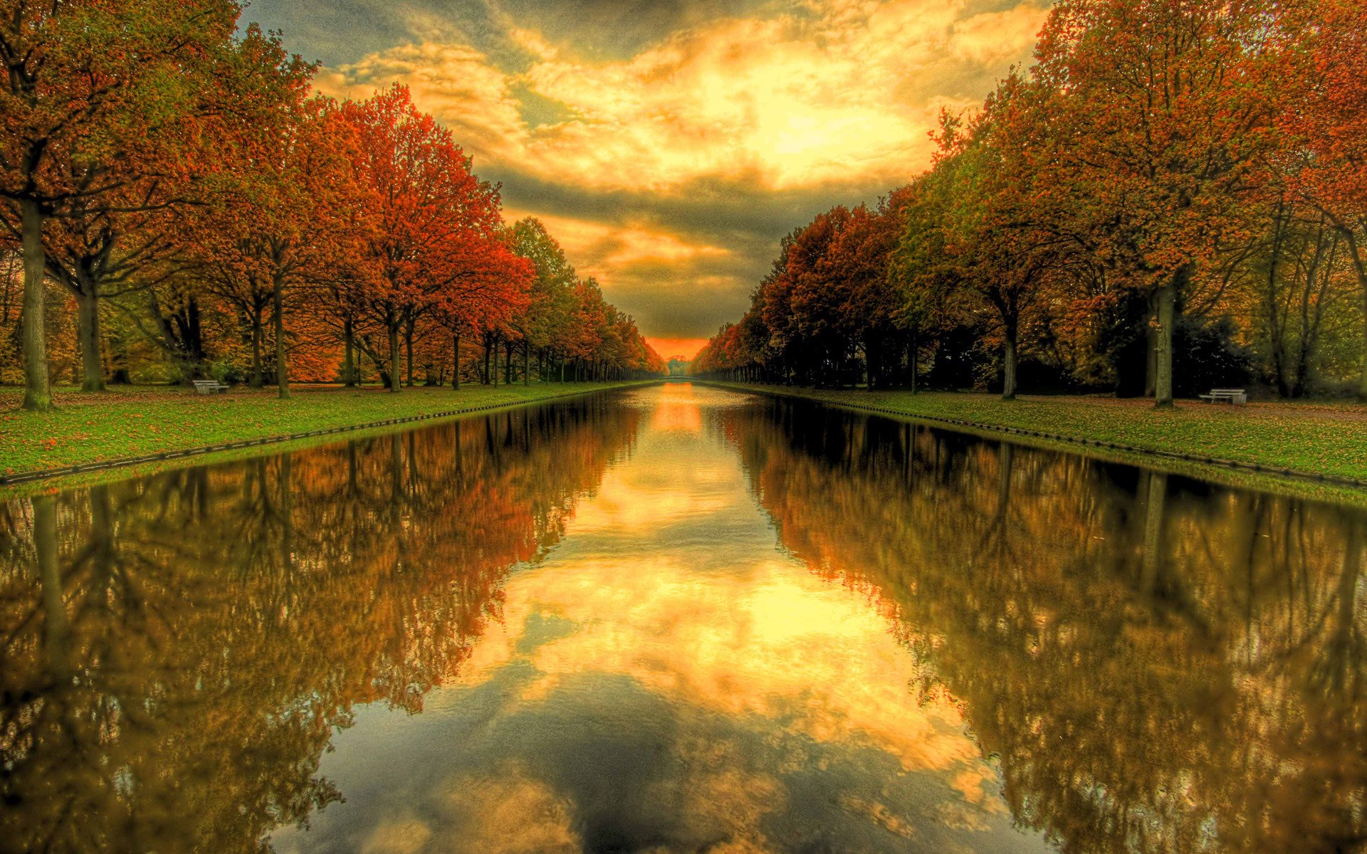 landscapes nature water grass autumn tree trees park