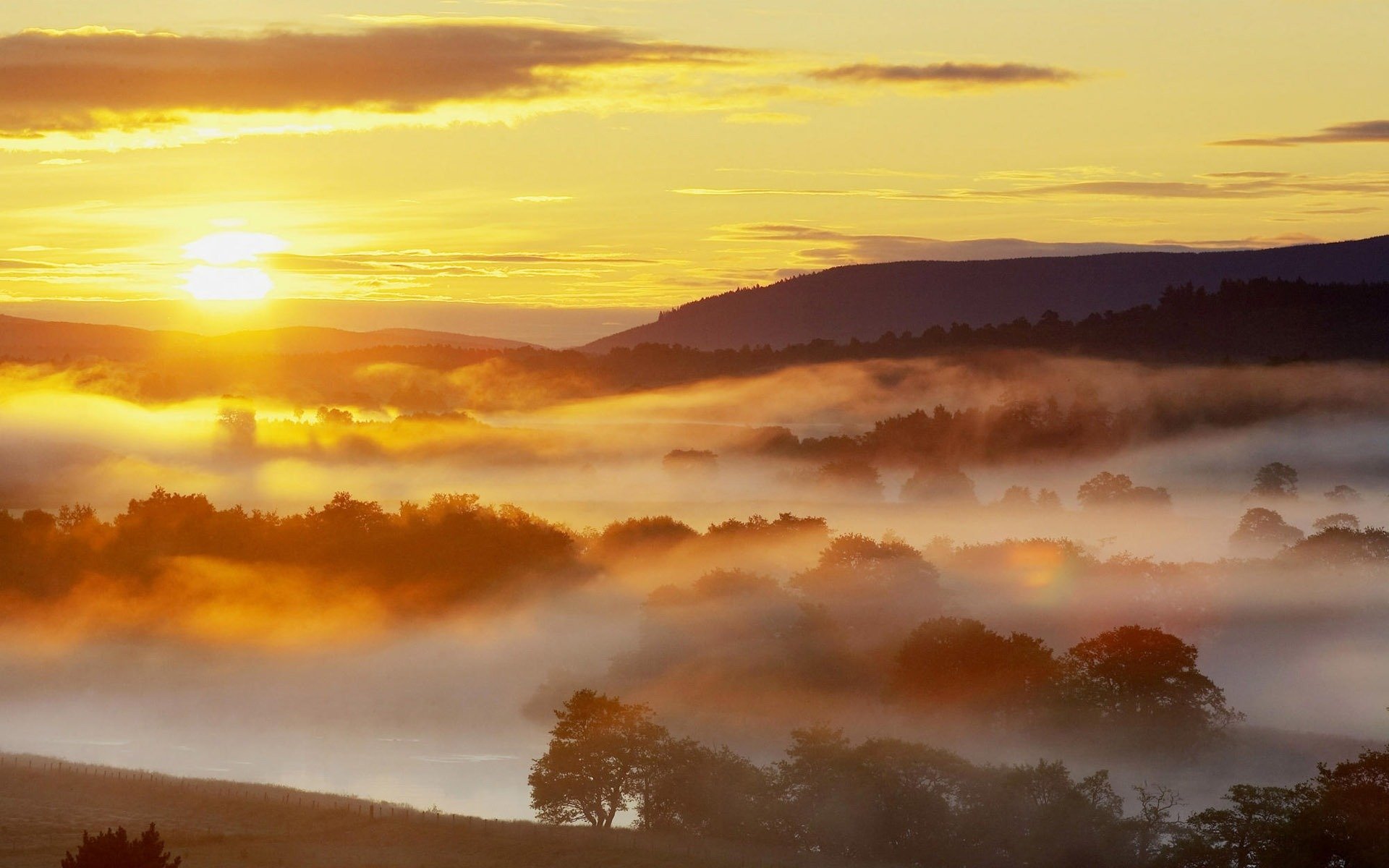 nature sunrise sun forest fog