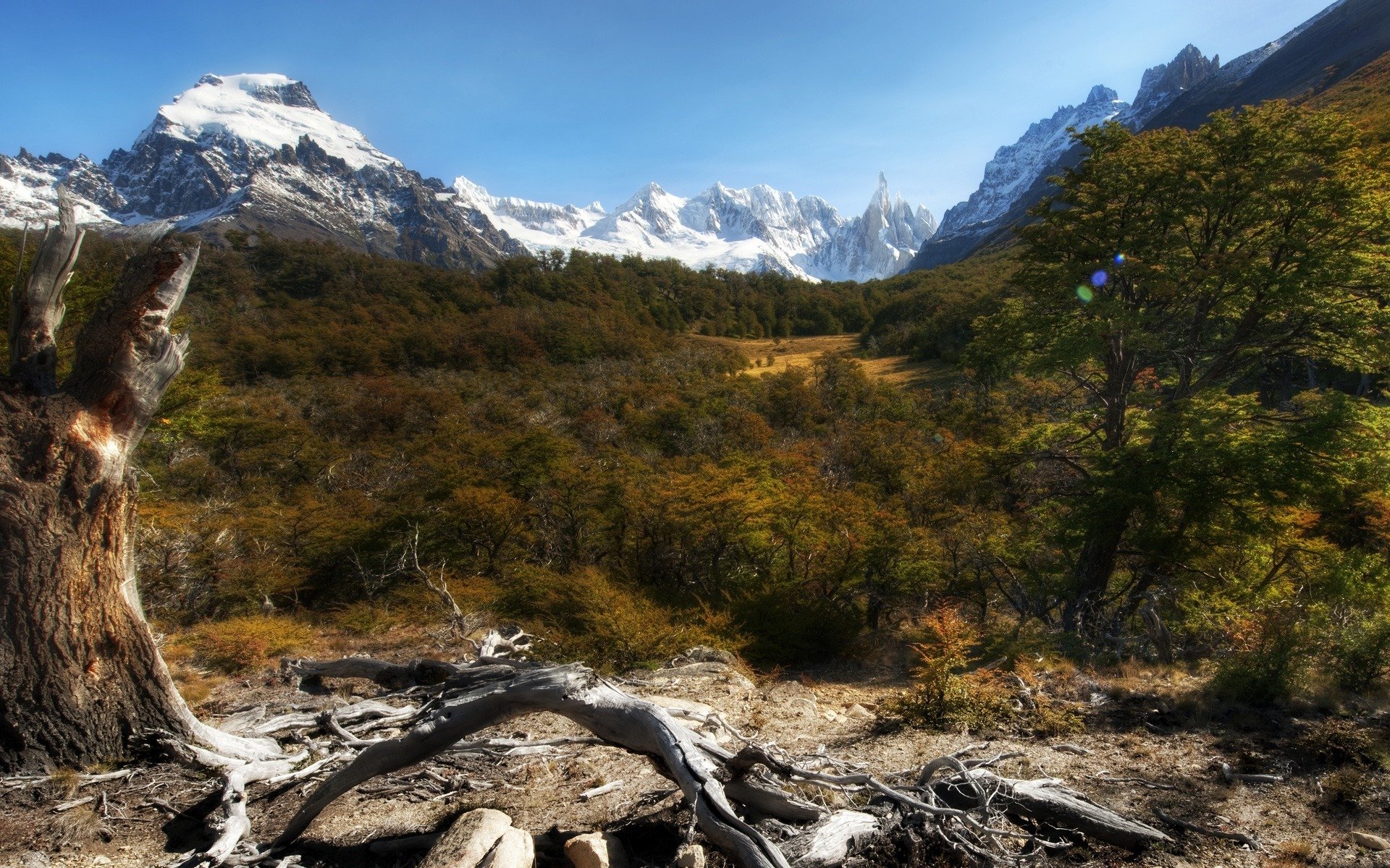 berge natur landschaft wald pflanzen himmel felsen bäume wald schnee