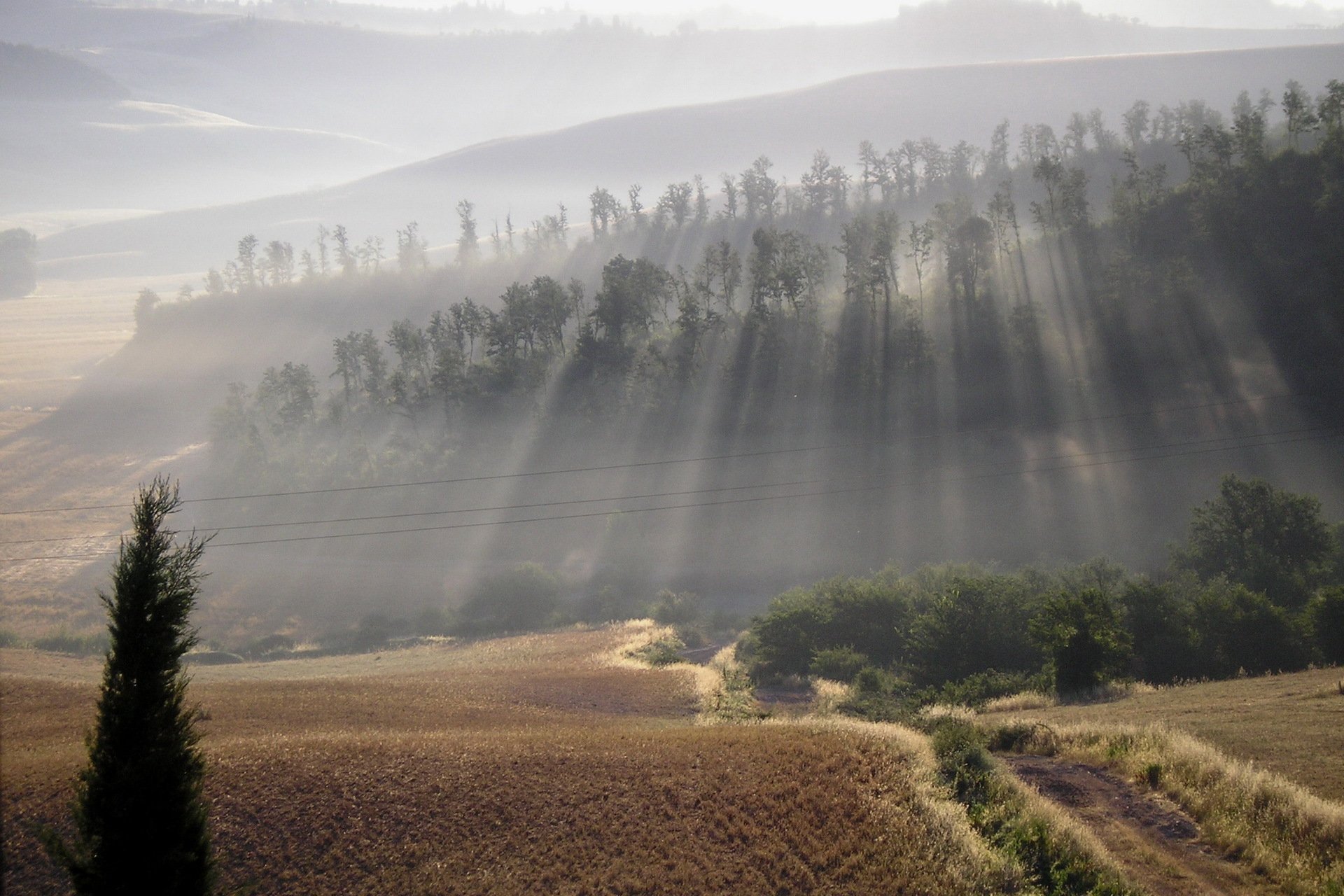 matin brouillard route collines nature beauté