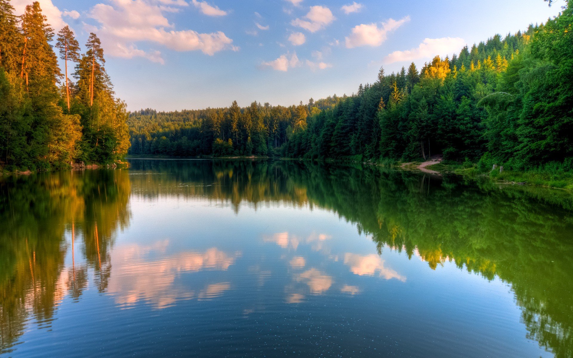 lago foresta acqua riflessione