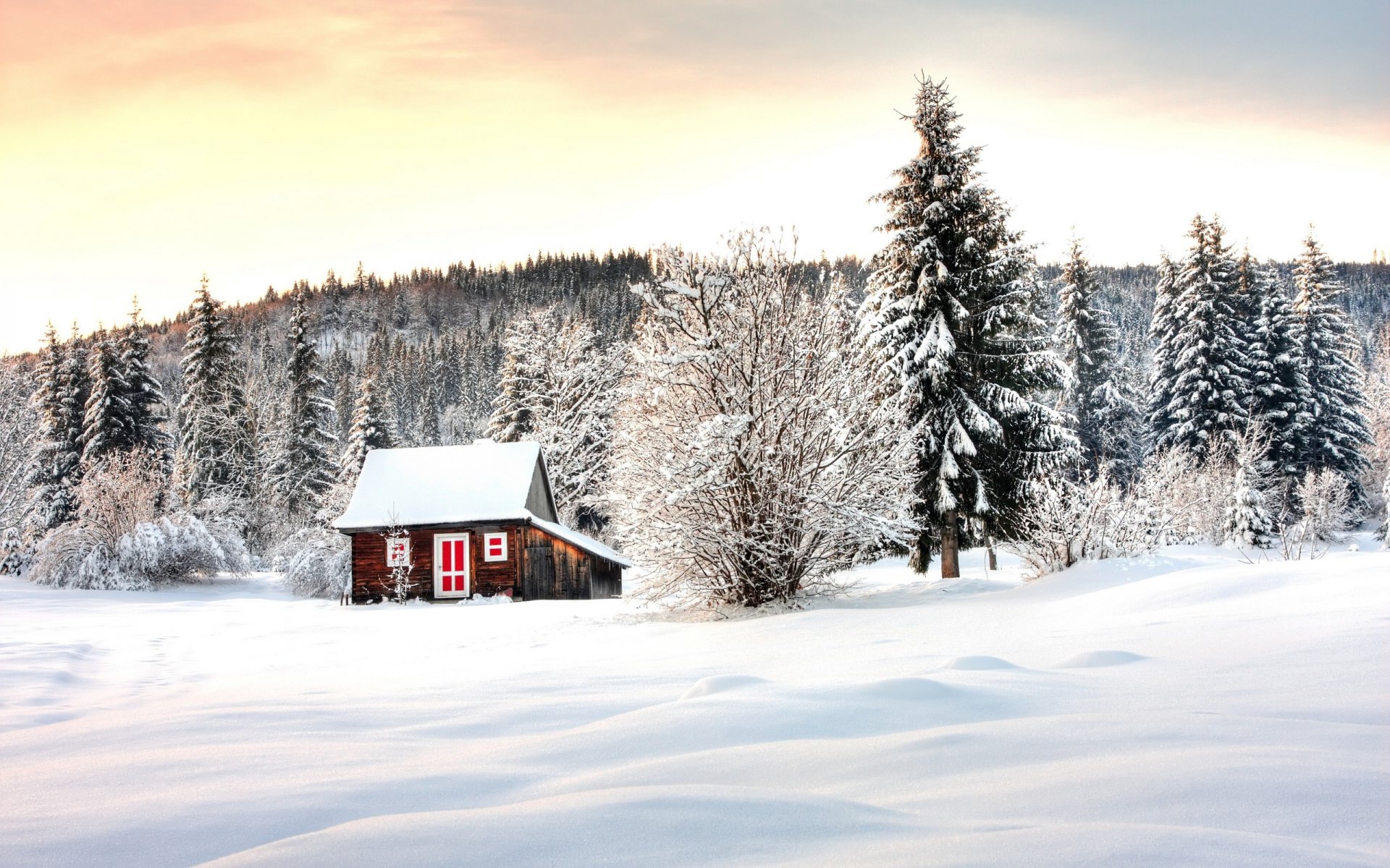 casa invernale inverno foresta alberi casa neve