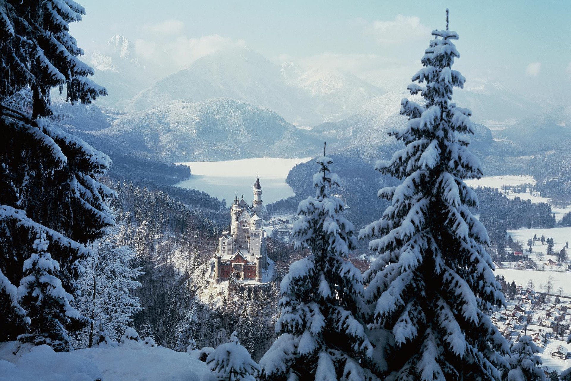 inverno alberi montagne foresta neve città castello neuschwanstein