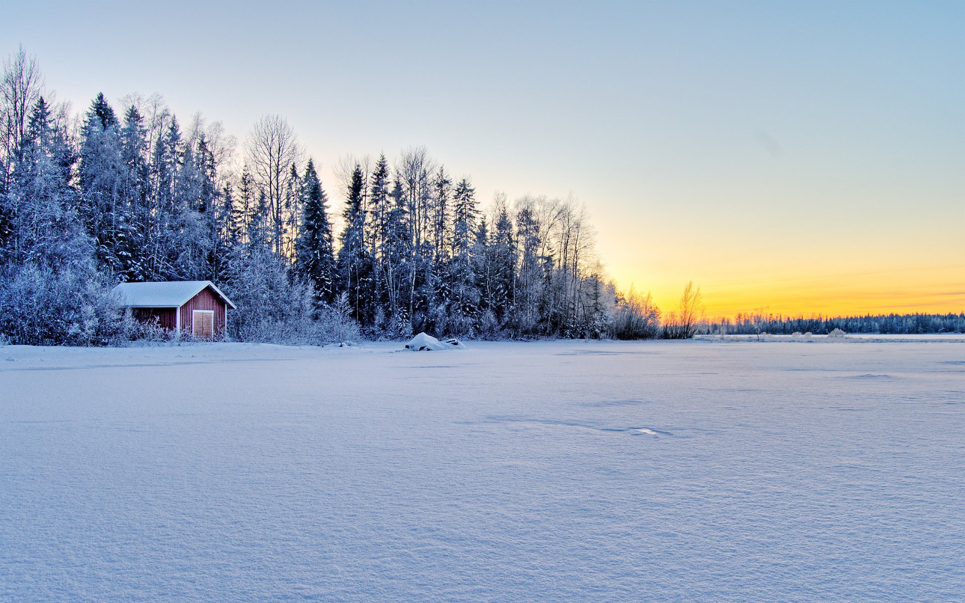 hiver hiver forêt maison