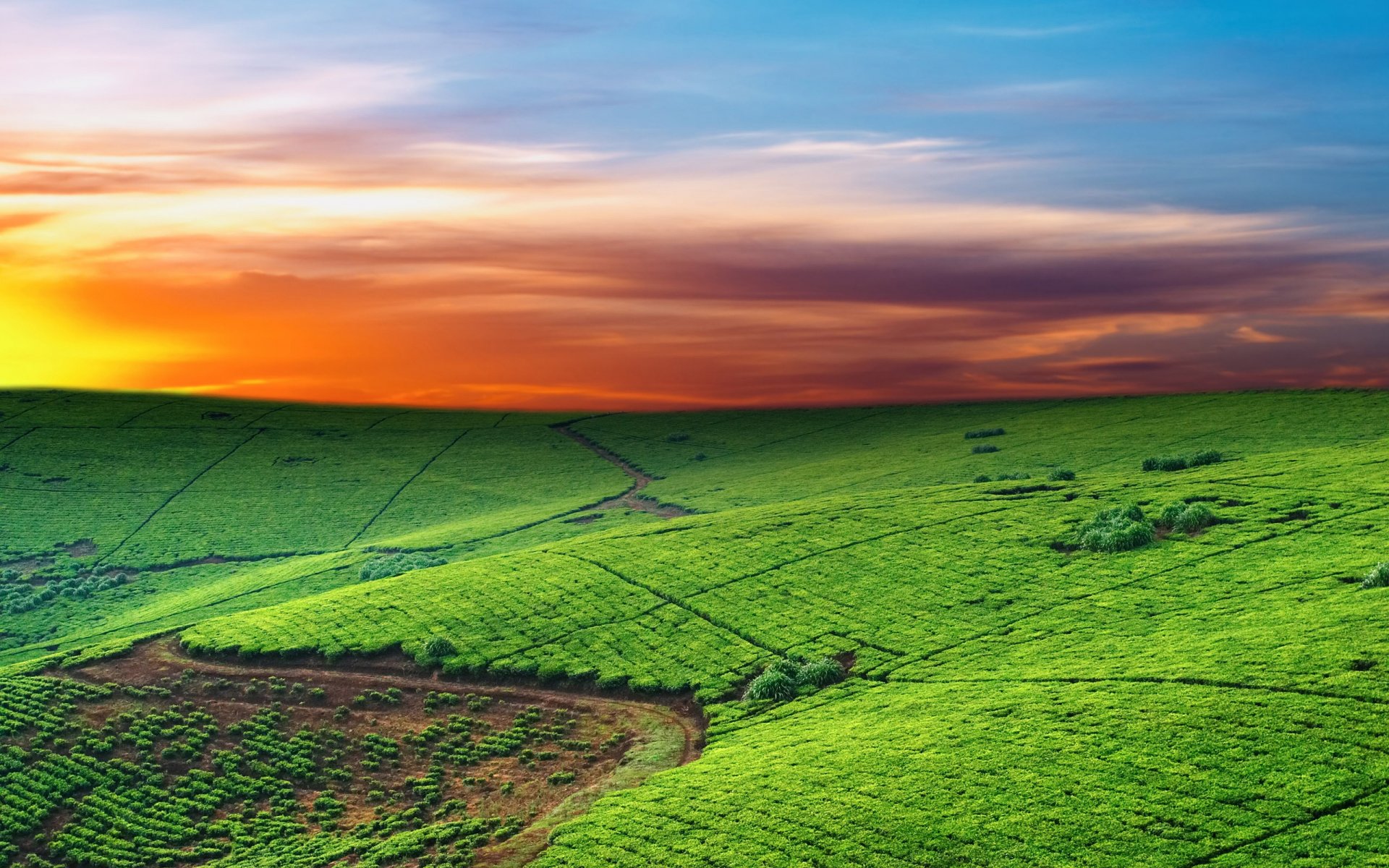 campos líneas horizonte cielo