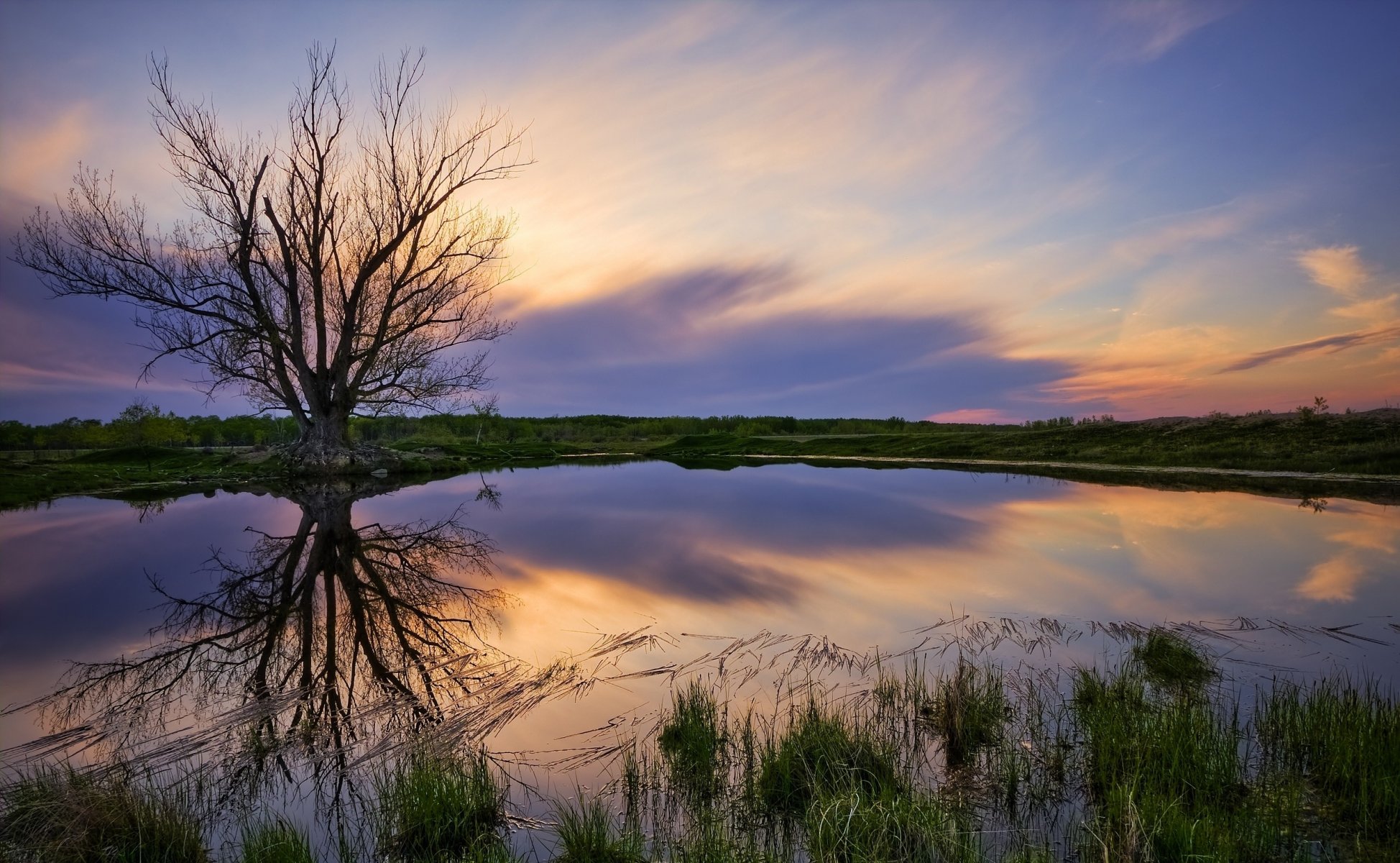 paisaje naturaleza lago costa árbol cielo puesta de sol