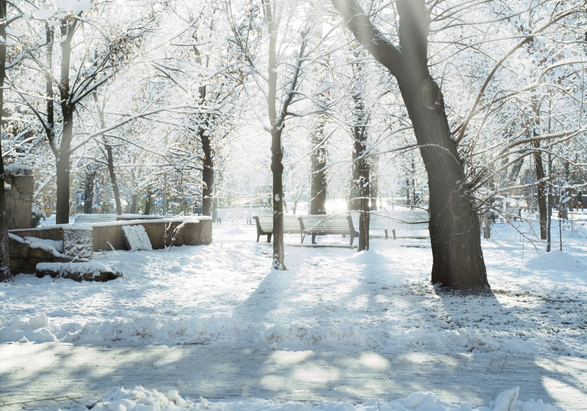 now trees winter park tree benches snow rays sun