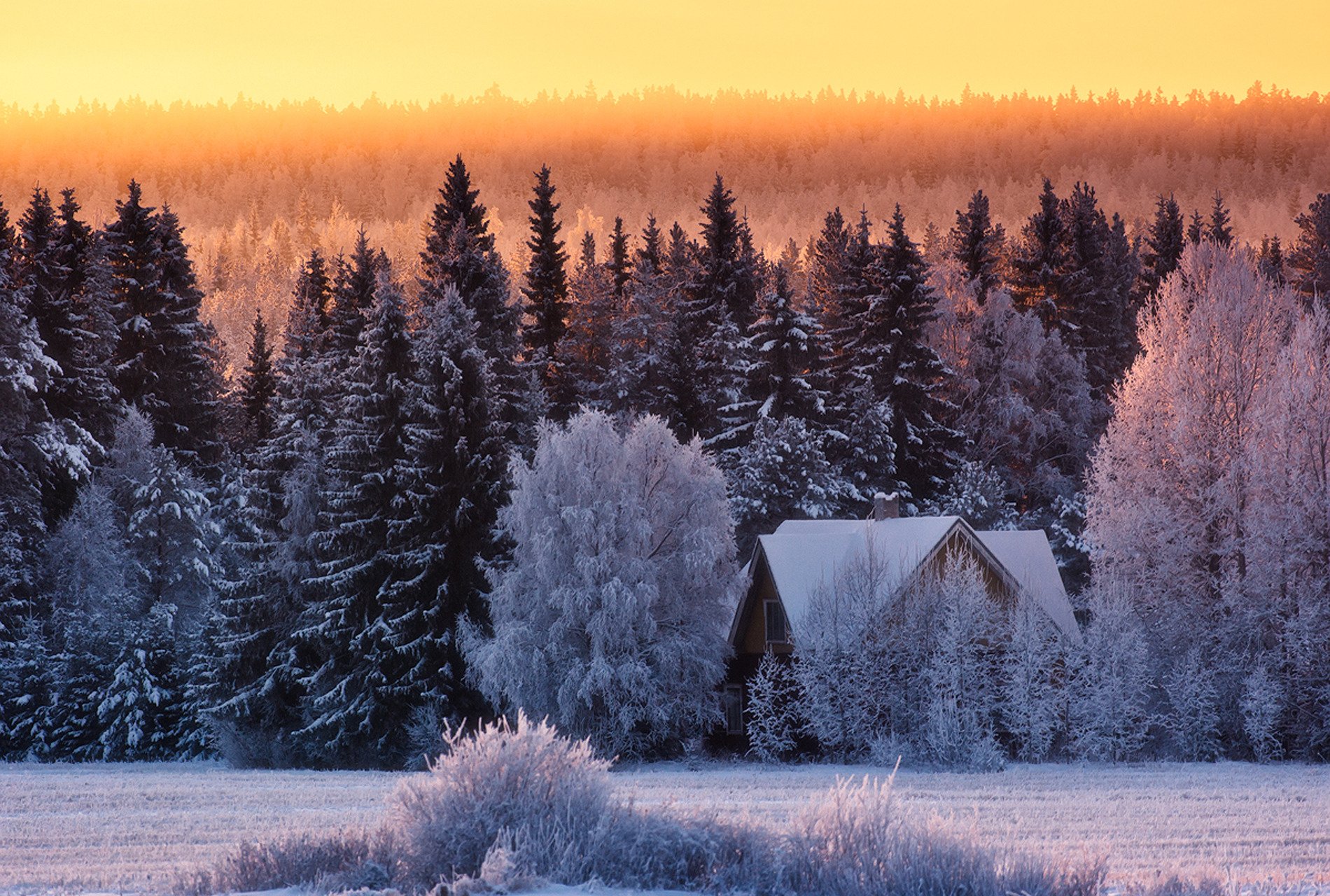 kalter wintertag winter frost wald schnee haus