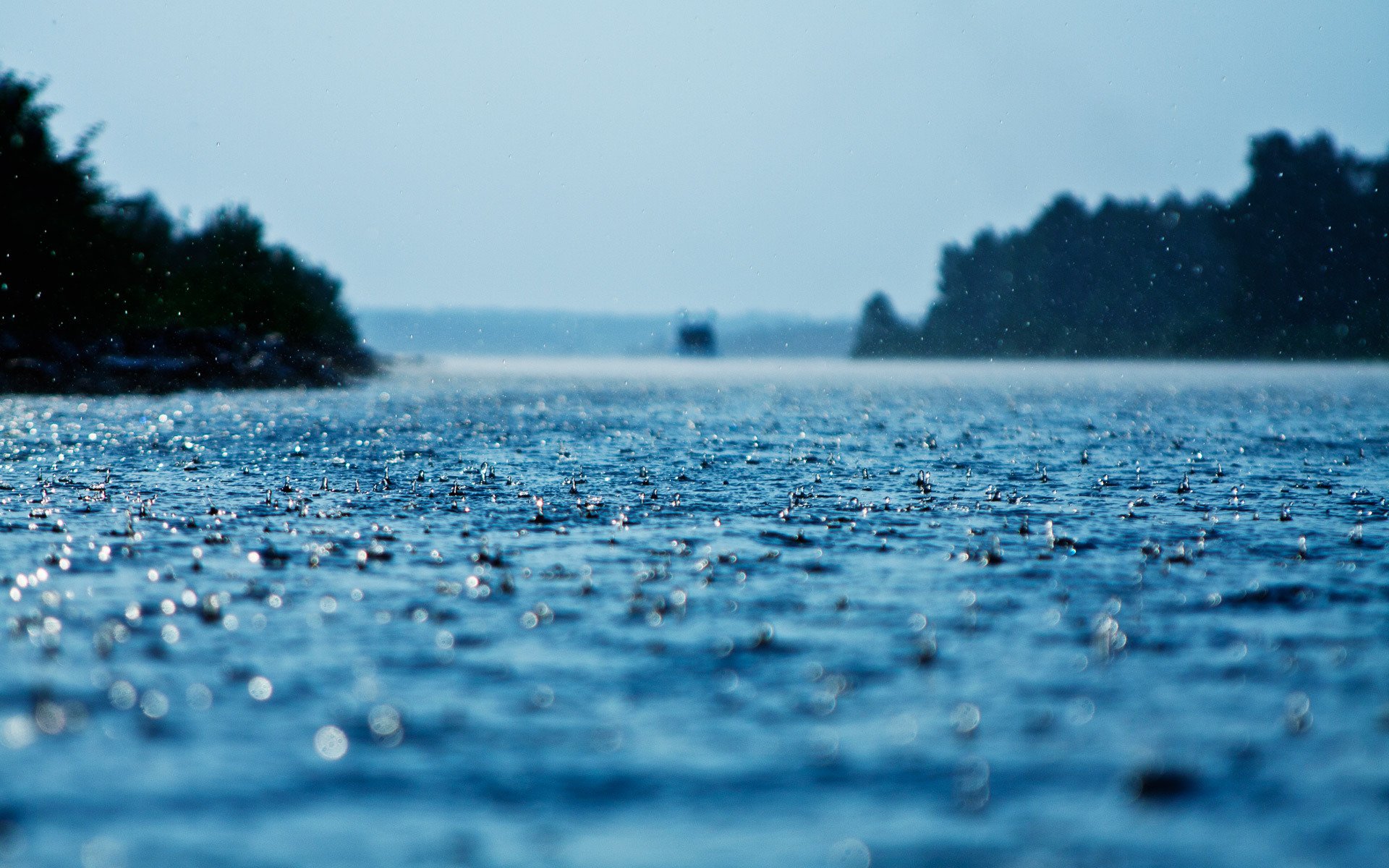 macro gotas lluvia