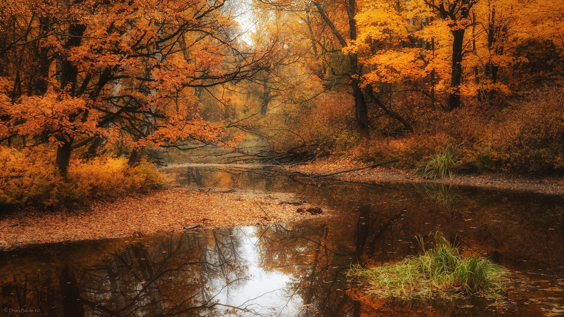 park jesień drzewa