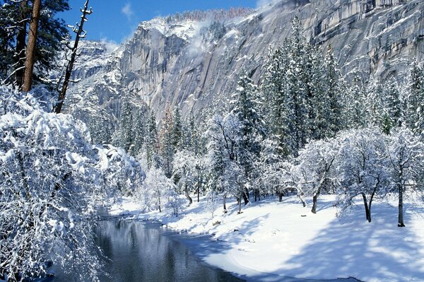 Día de invierno en un hermoso parque de montaña