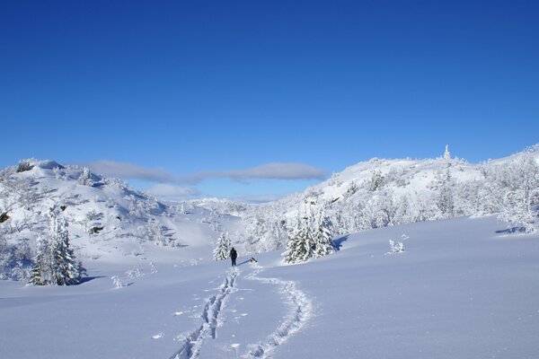 Paysage froid enneigé d hiver