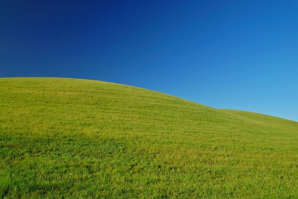 Green grassy hill, beautiful sky