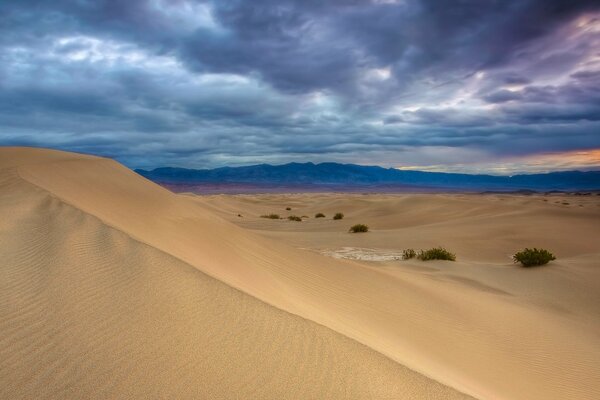 Paisaje de desierto de gran formato con nubes