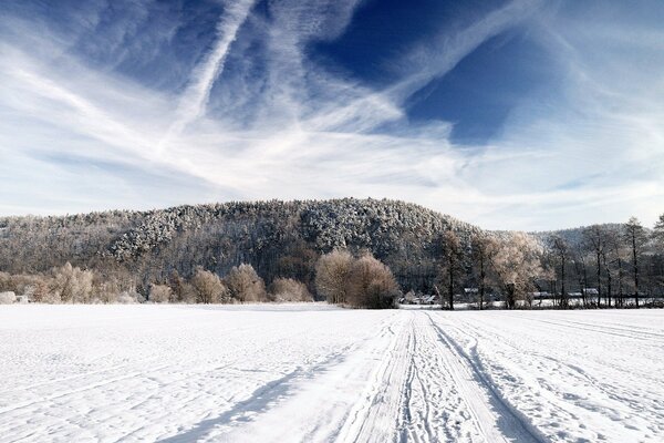 Route d hiver dans la forêt ensoleillée