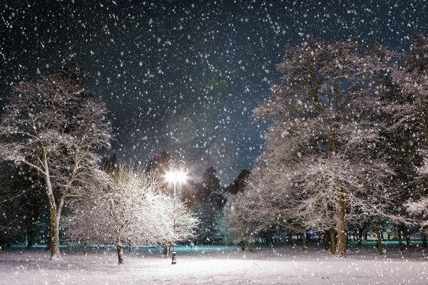 Linterna brillante en el parque de invierno