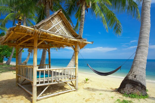 Bungalow et palmiers sur fond de mer bleue