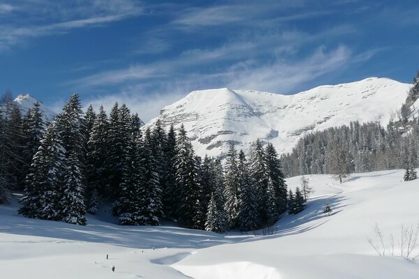 Las montañas nevadas y el bosque en invierno es algo hermoso