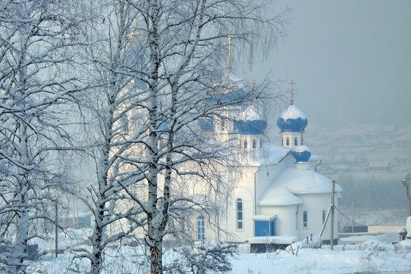 Winter nature on the background of the church