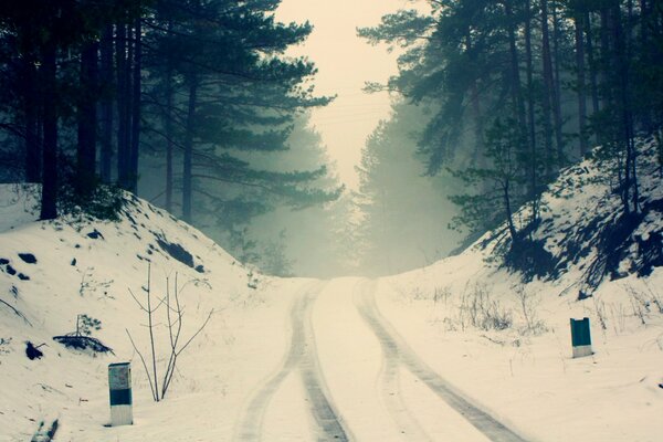 Camino cubierto de nieve en una neblina brumosa