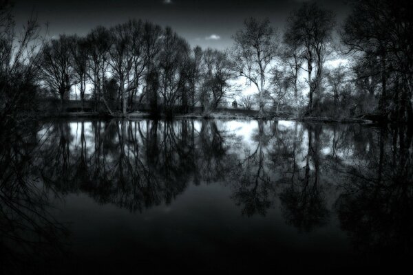 Night landscape water and trees