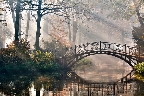 Ein schöner Park mit einer Brücke, die von Sonnenstrahlen durchdrungen ist