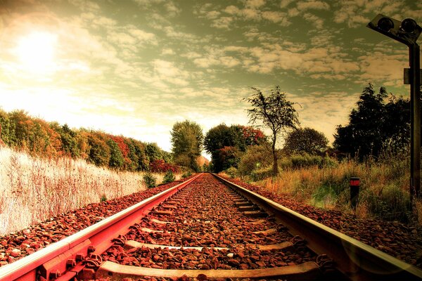 Herbstliche Landschaft. Schienen, die in die Ferne gehen