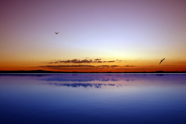 Silhouetten von Vögeln bei goldenem Sonnenuntergang über dem blauen Meer fliegen