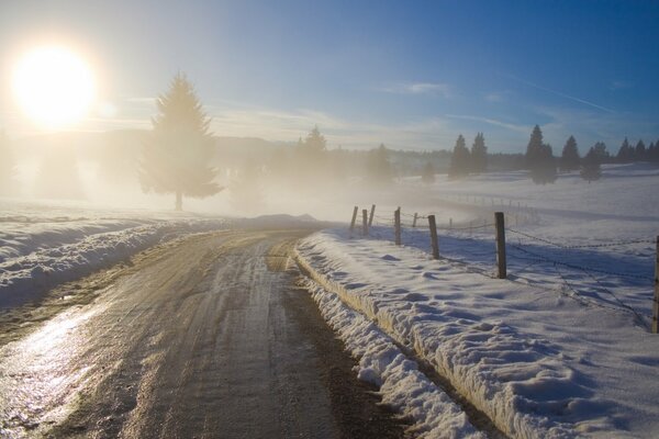 Winter road in a snowy forest