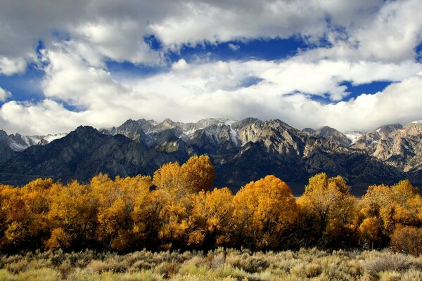 Otoño dorado. Árboles y montañas