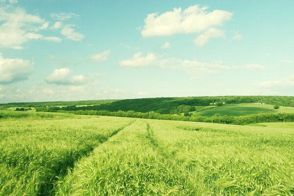 Buttes vertes de paysages rustiques