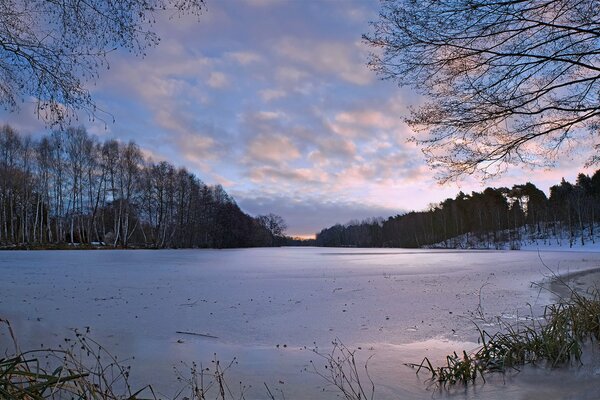 Hielo sobre el río. Invierno en el bosque